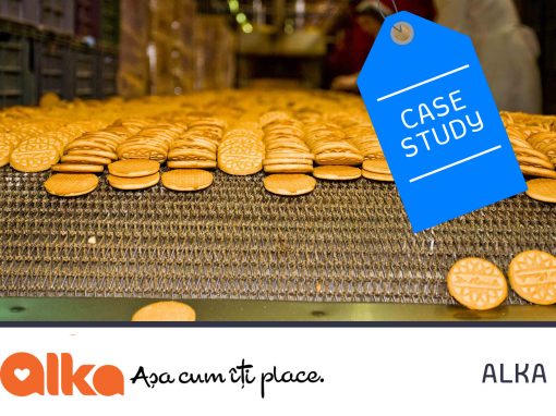 ALKA Group – Case Study